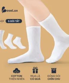 Tất cao cổ nữ BaseLux Tất cotton mềm mại Vớ chân nữ kháng khuẩn khử mùi Tất trắng nữ co giãn 4 chiều vớ nữ basic vintage